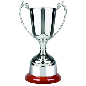 Image showing formula nickel plated trophy cup