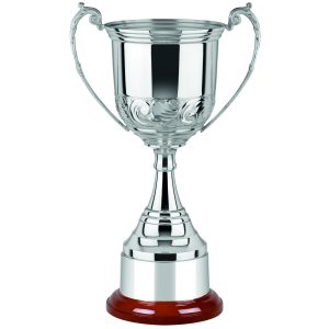 Image showing nickel plated trophy cup with hand chased majestic pattern design