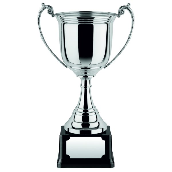 Image showing nickel plated revolution trophy cup