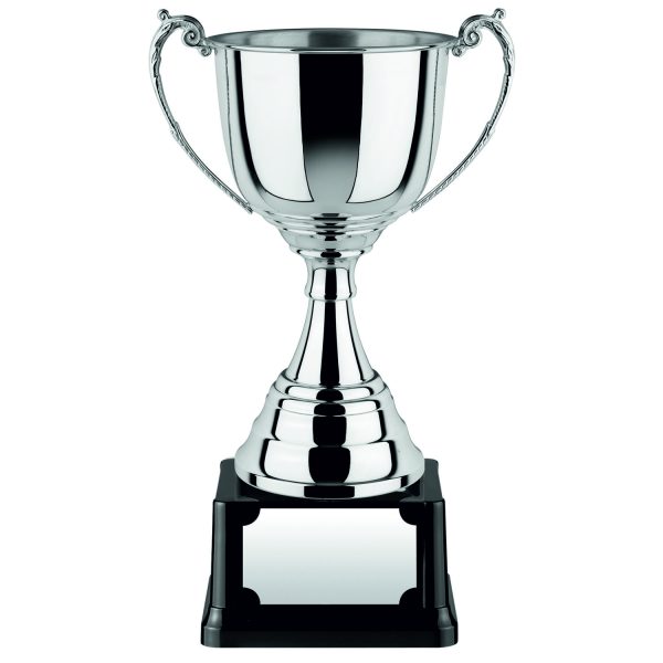 Image showing nickel plated revolution trophy cup against white background