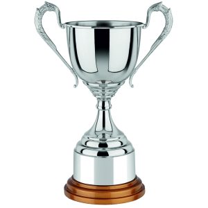 Image showing nickel plated trophy cup 1 series with gold finish wooden base