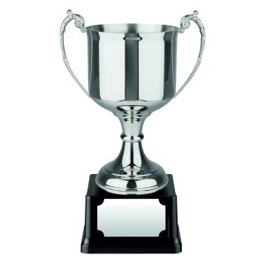 Image showing amazing value nickel plated trophy cup