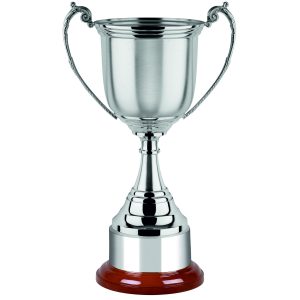 Image showing two tone nickel plated trophy cup on rosewood finish wooden base