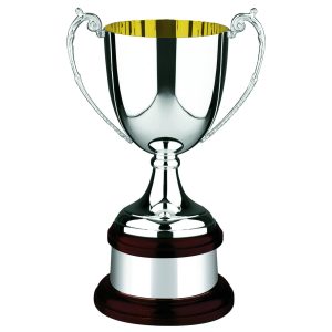 Image showing silver plated luxury trophy cup with gold plating inside on mahogany wooden base