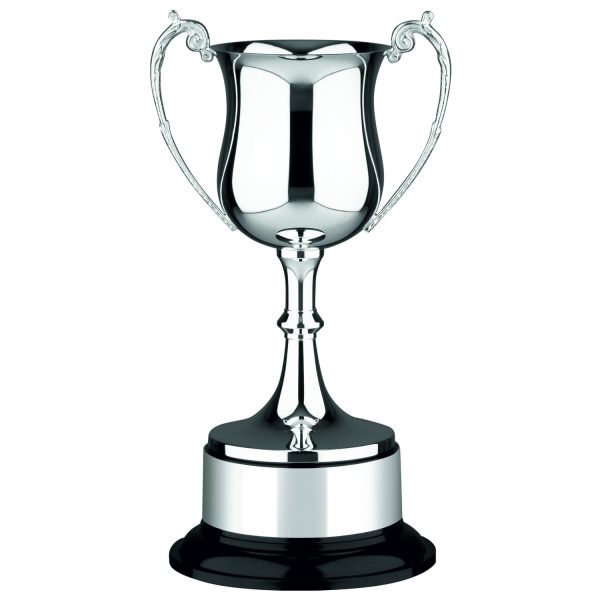 Image showing Swatkins georgian silver plated trophy cup on black bakelite base