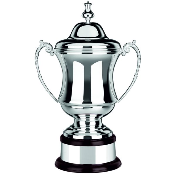 Image showing the conquerors challenge cup from Swatkins on mahogany base