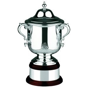 Image showing the league champions cup with hand chased design