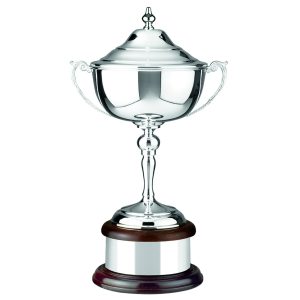 Image showing the winners cup by Swatkins