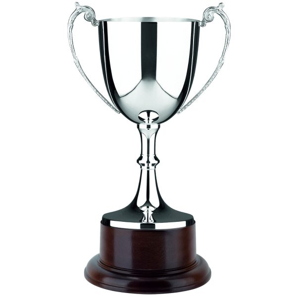 Image showing hallmarked silver trophy cup on mahogany base